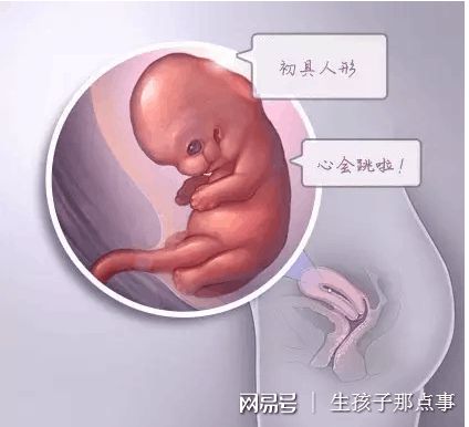 承济医学中心环境